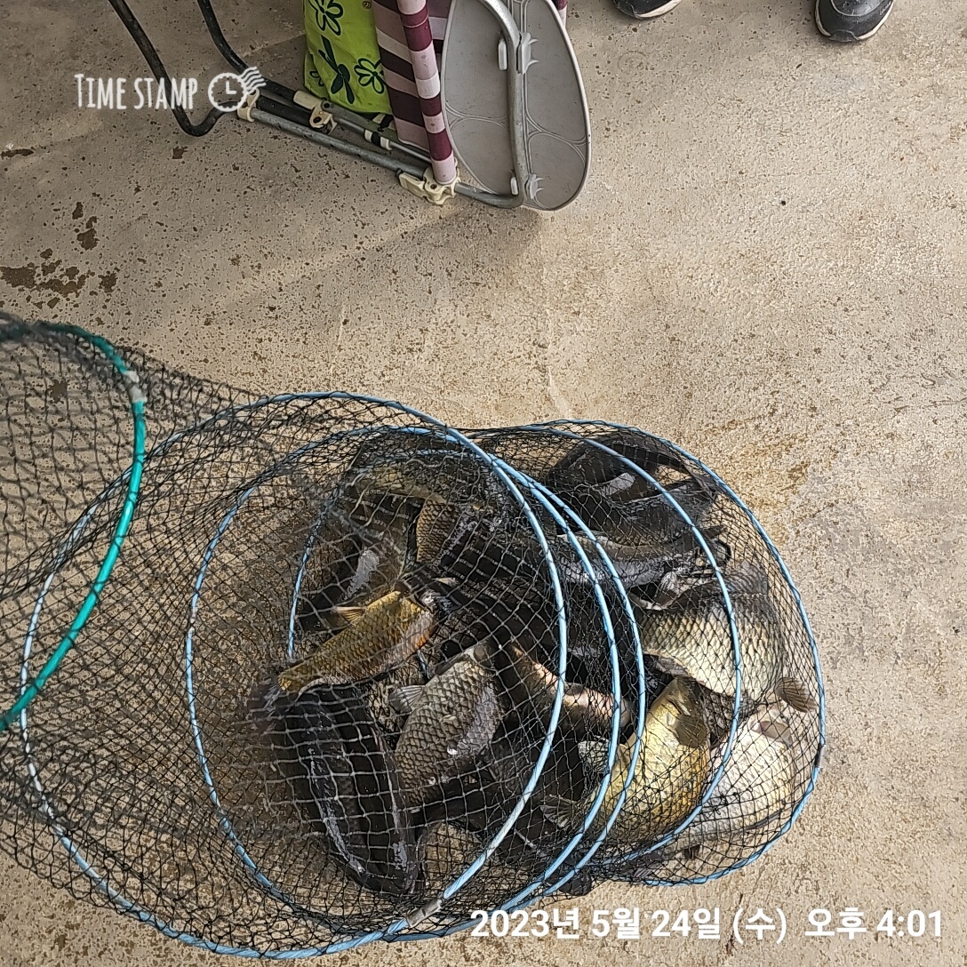 KakaoTalk_20230524_212145985_18.jpg