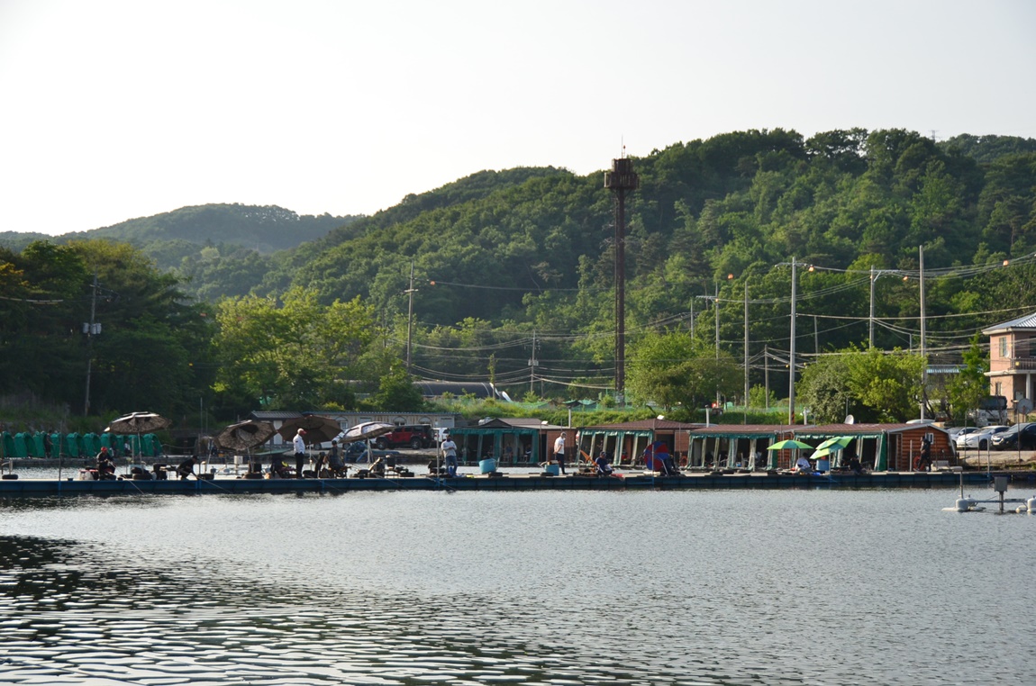 DSC_8750.JPG