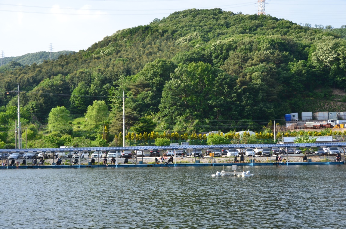 DSC_8753.JPG