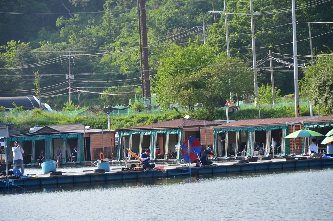 DSC_8754.JPG