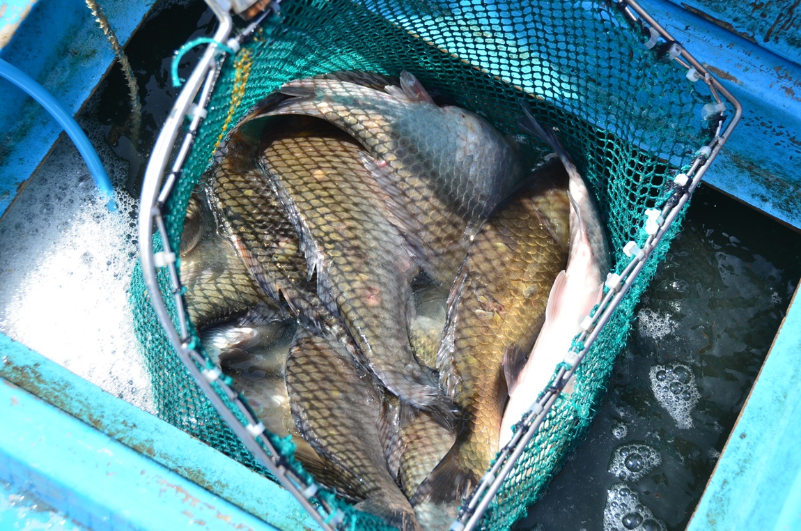 DSC_8411.JPG