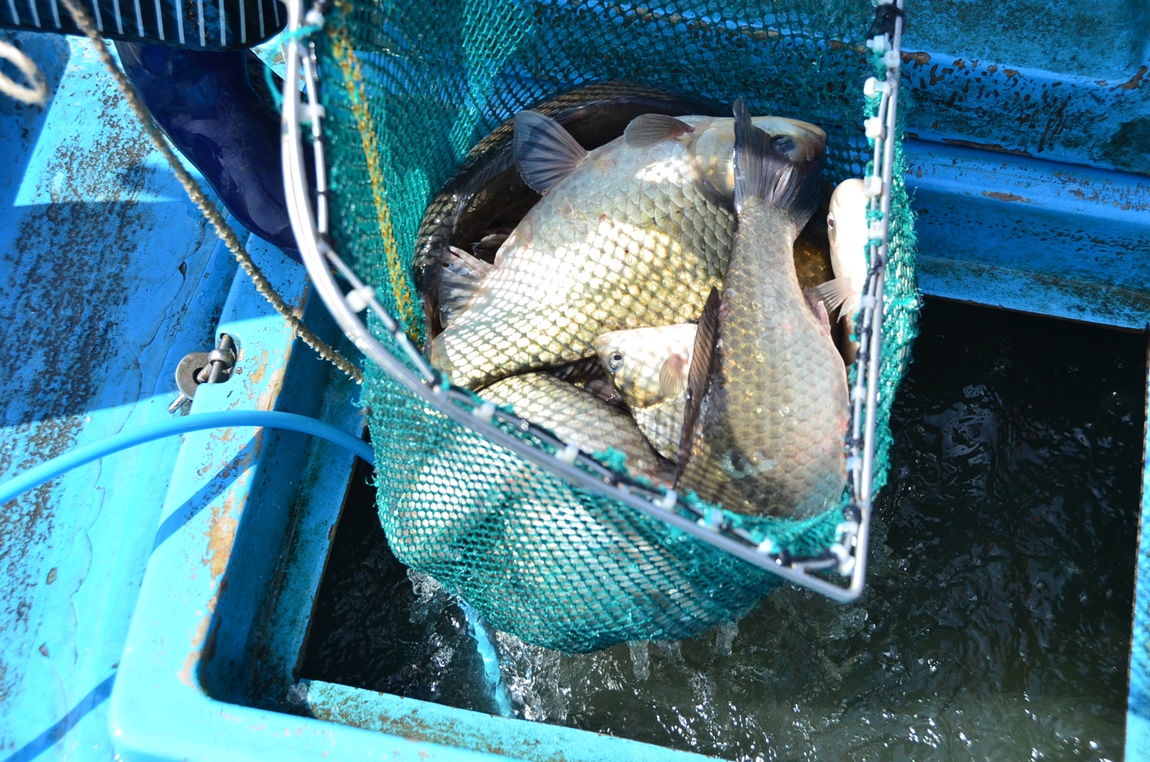 DSC_8417.JPG