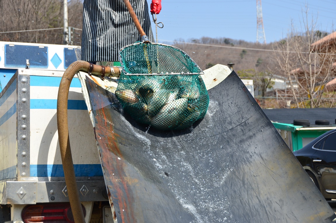 DSC_8422.JPG