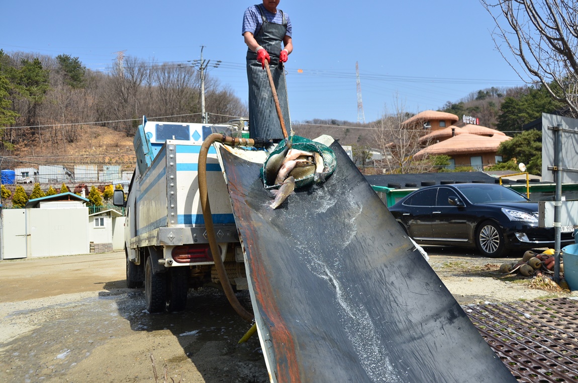 DSC_8427.JPG