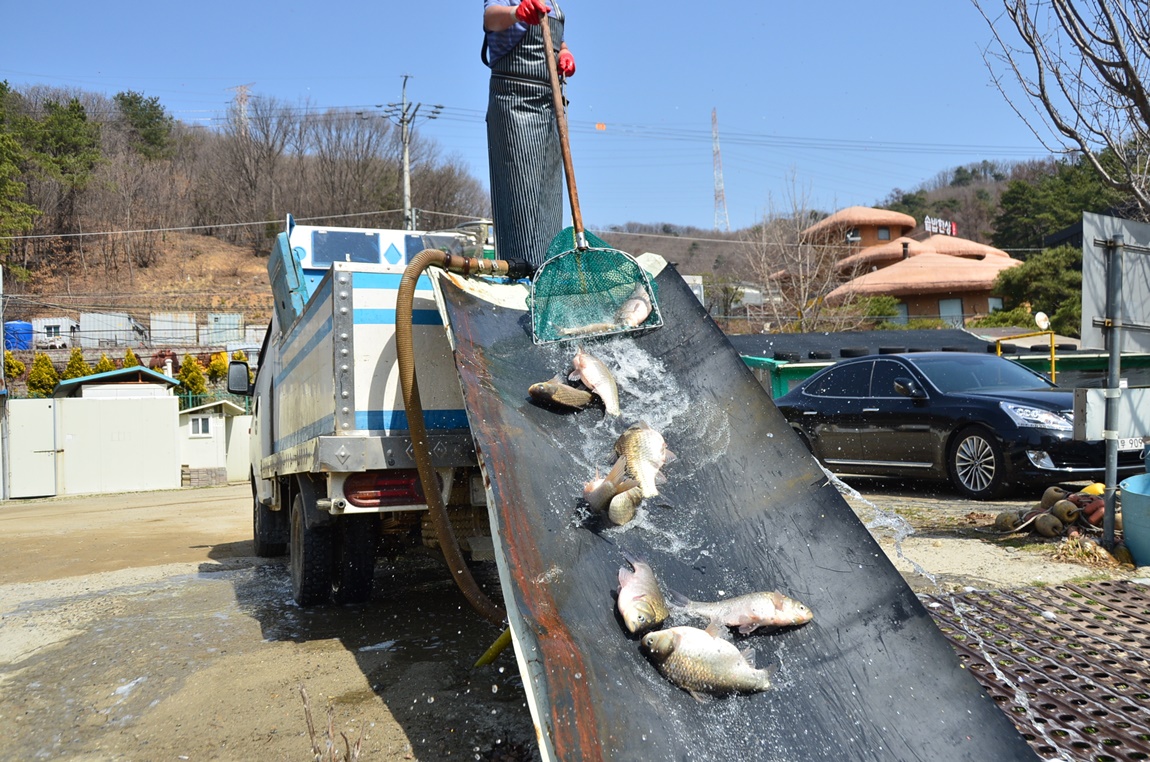 DSC_8429.JPG