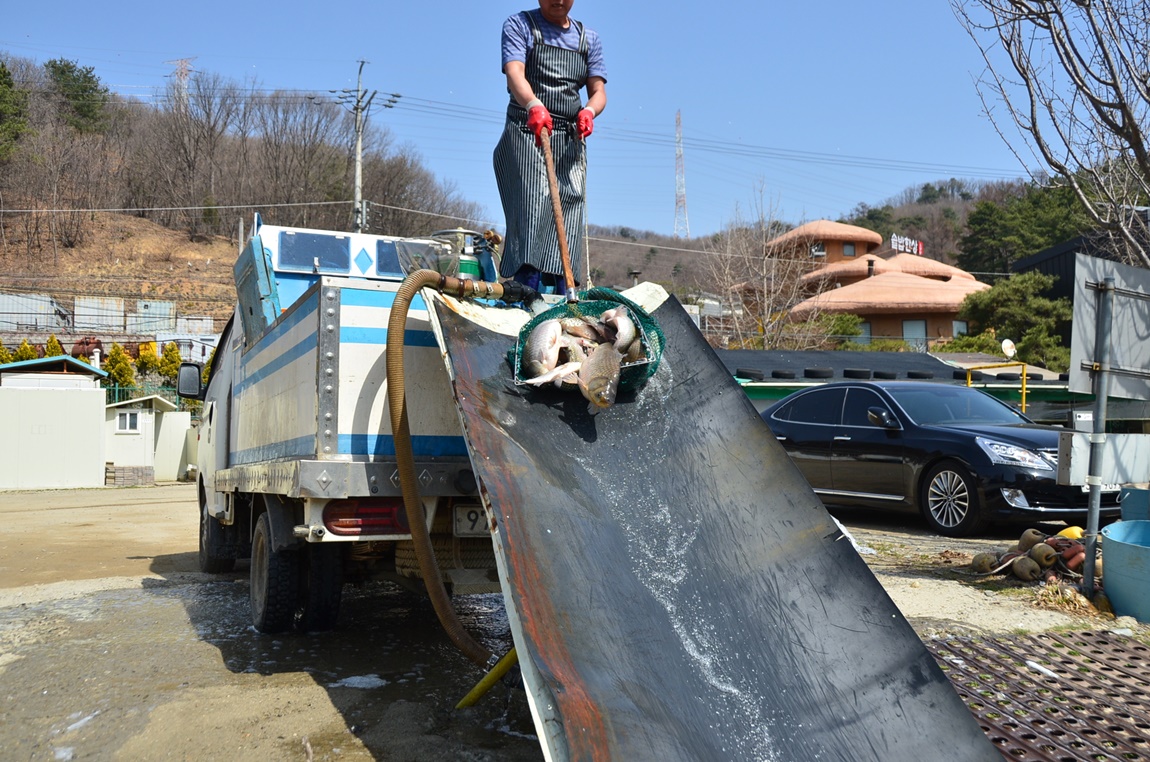 DSC_8430.JPG