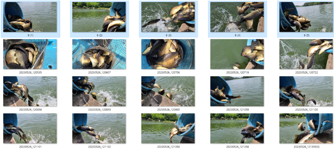 사용자 지정 1.png