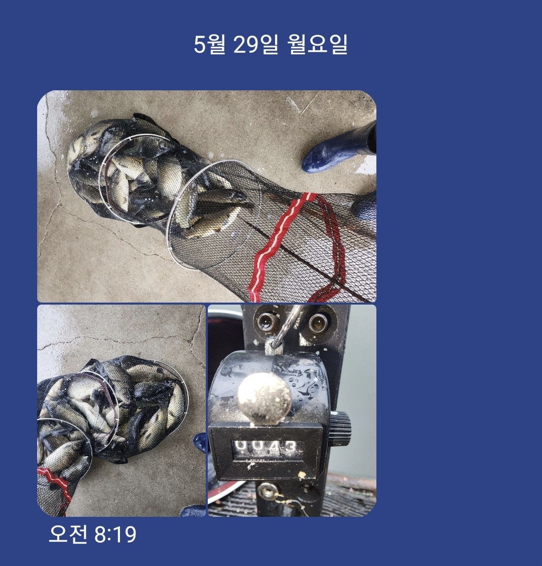 KakaoTalk_20230529_105426103.jpg