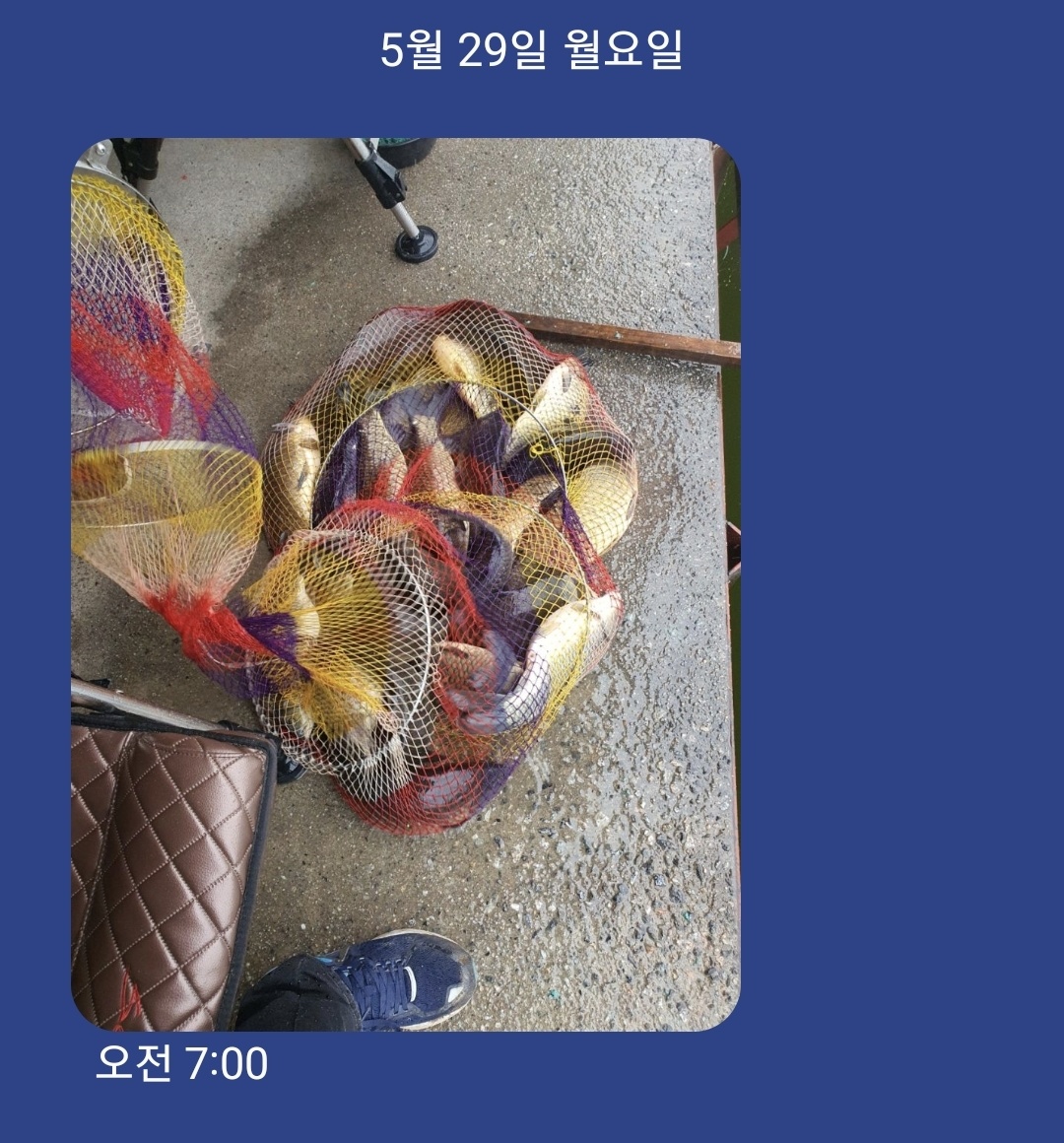 KakaoTalk_20230529_105514801.jpg