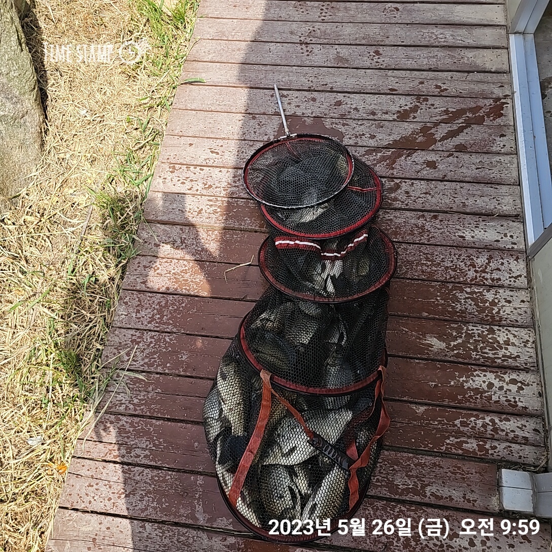 KakaoTalk_20230526_215417772_28.jpg