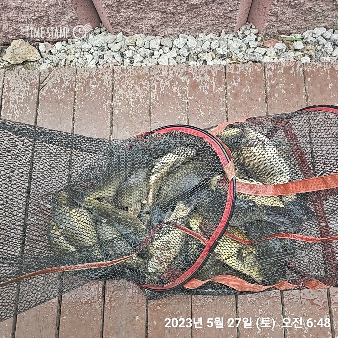 KakaoTalk_20230528_062557868_15.jpg