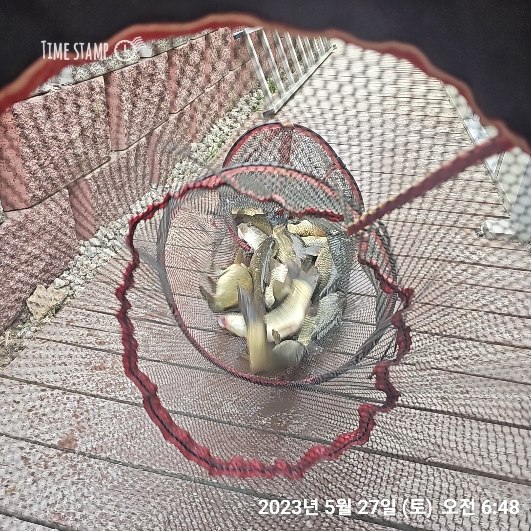 KakaoTalk_20230528_062557868_16.jpg