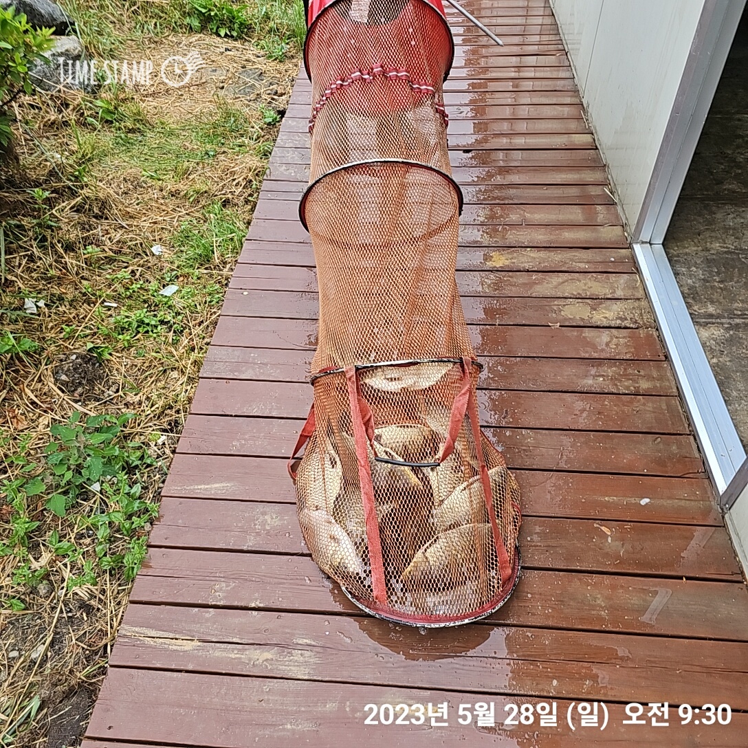 KakaoTalk_20230529_122300931.jpg