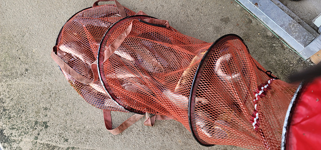 가깝고 물 좋고 경치 좋은 곳~~!!-용인삼인낚시터-