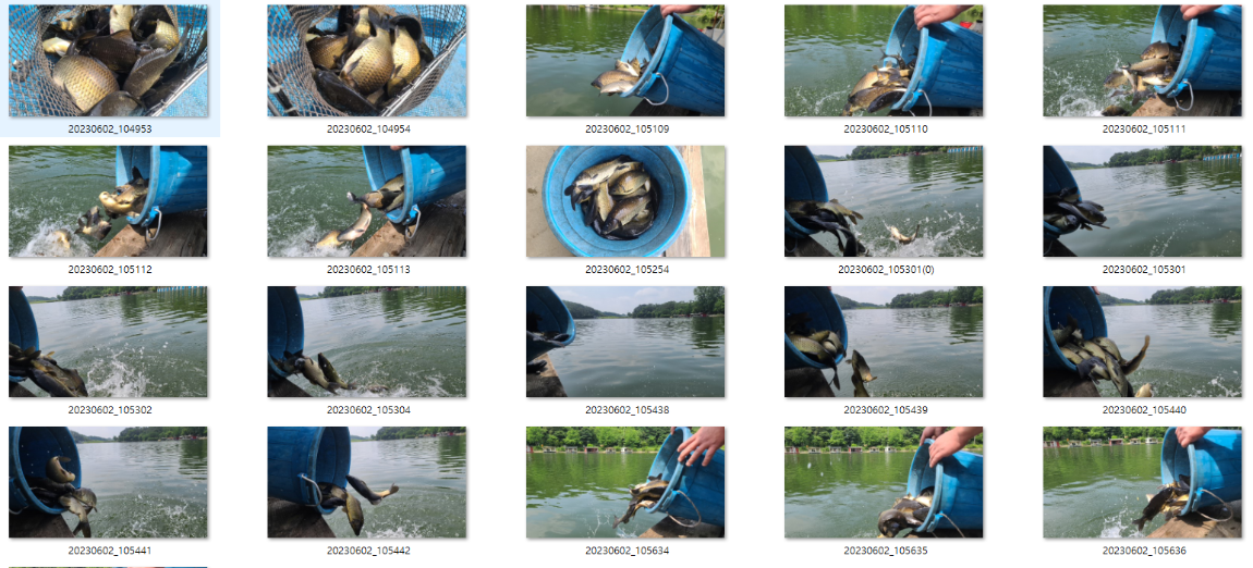 사용자 지정 1.png