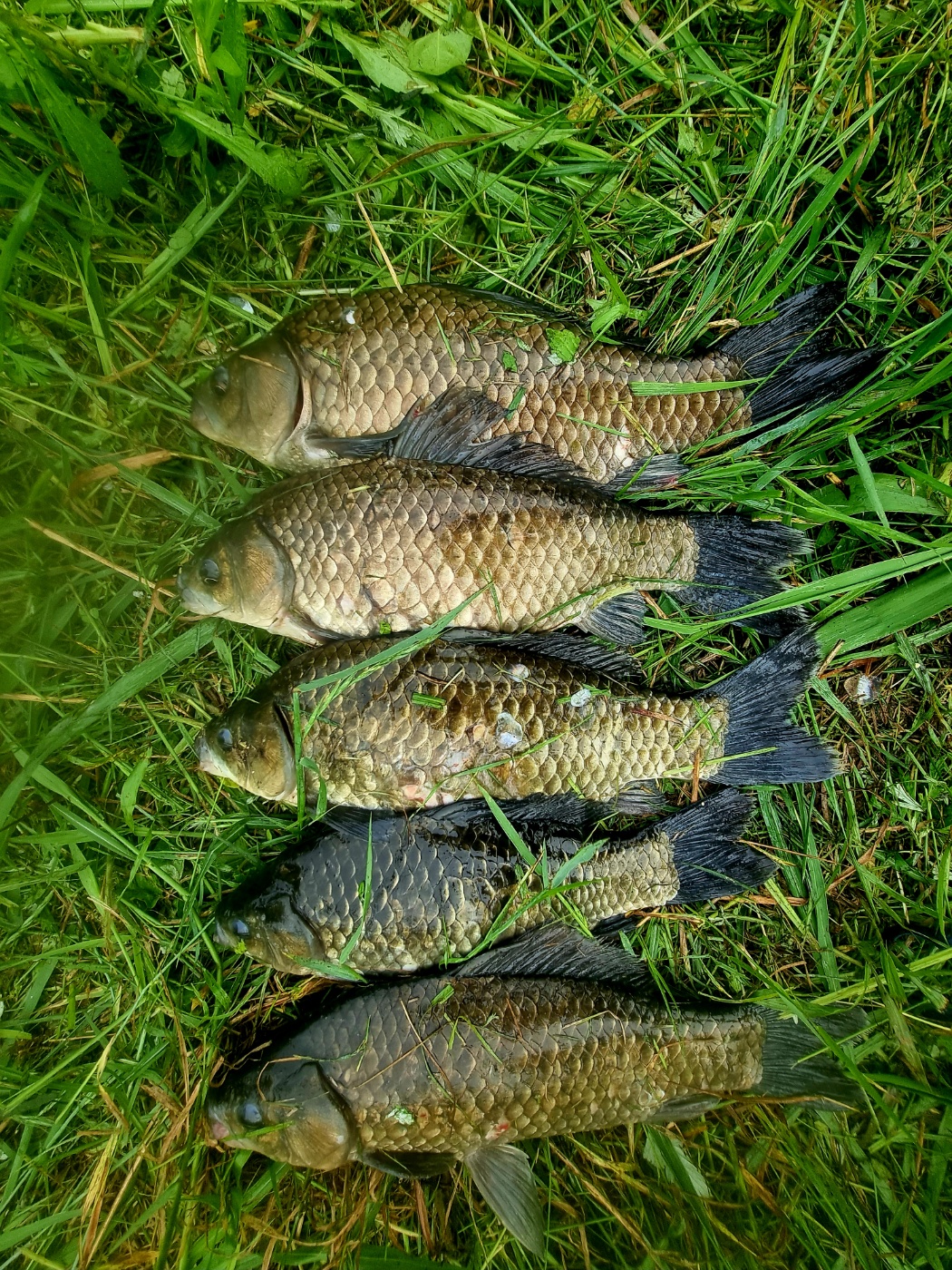 KakaoTalk_20230604_114116915_14.jpg