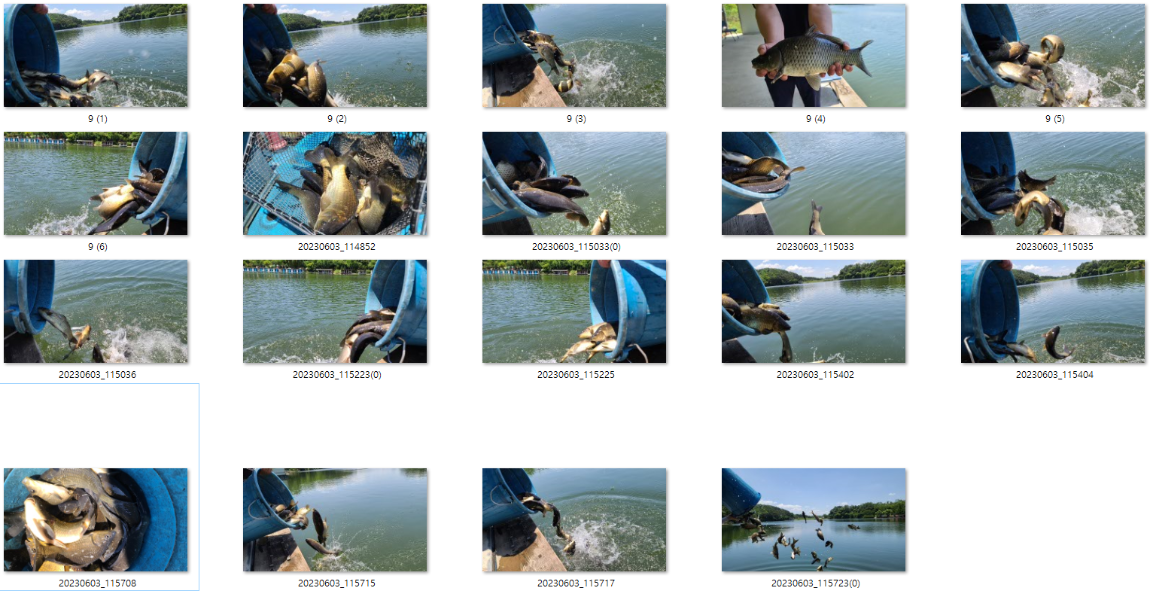 사용자 지정 1.png