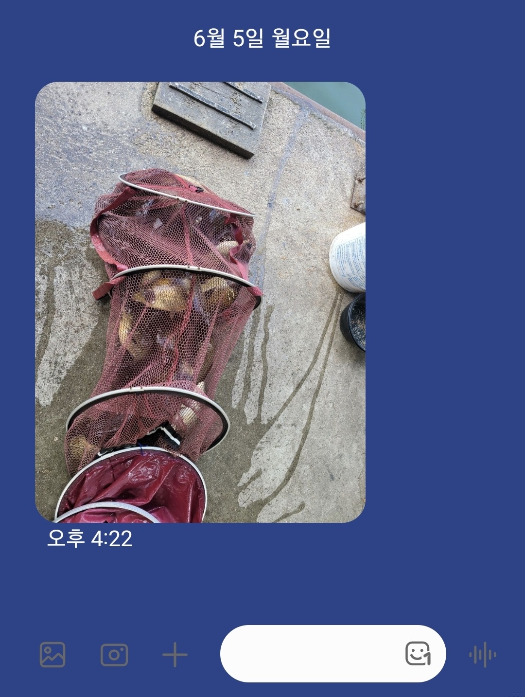 KakaoTalk_20230605_171128622.jpg