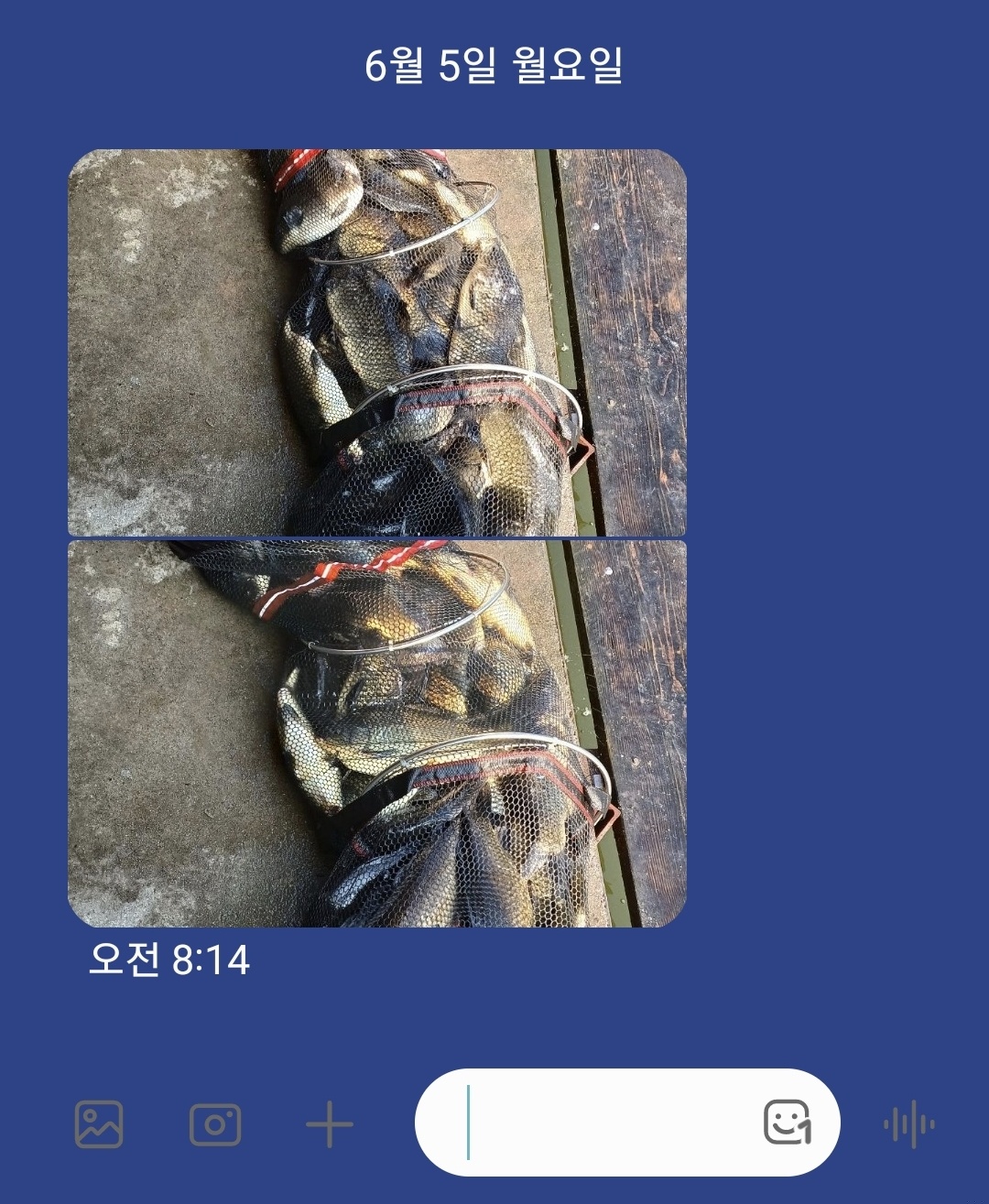 KakaoTalk_20230605_171251948.jpg