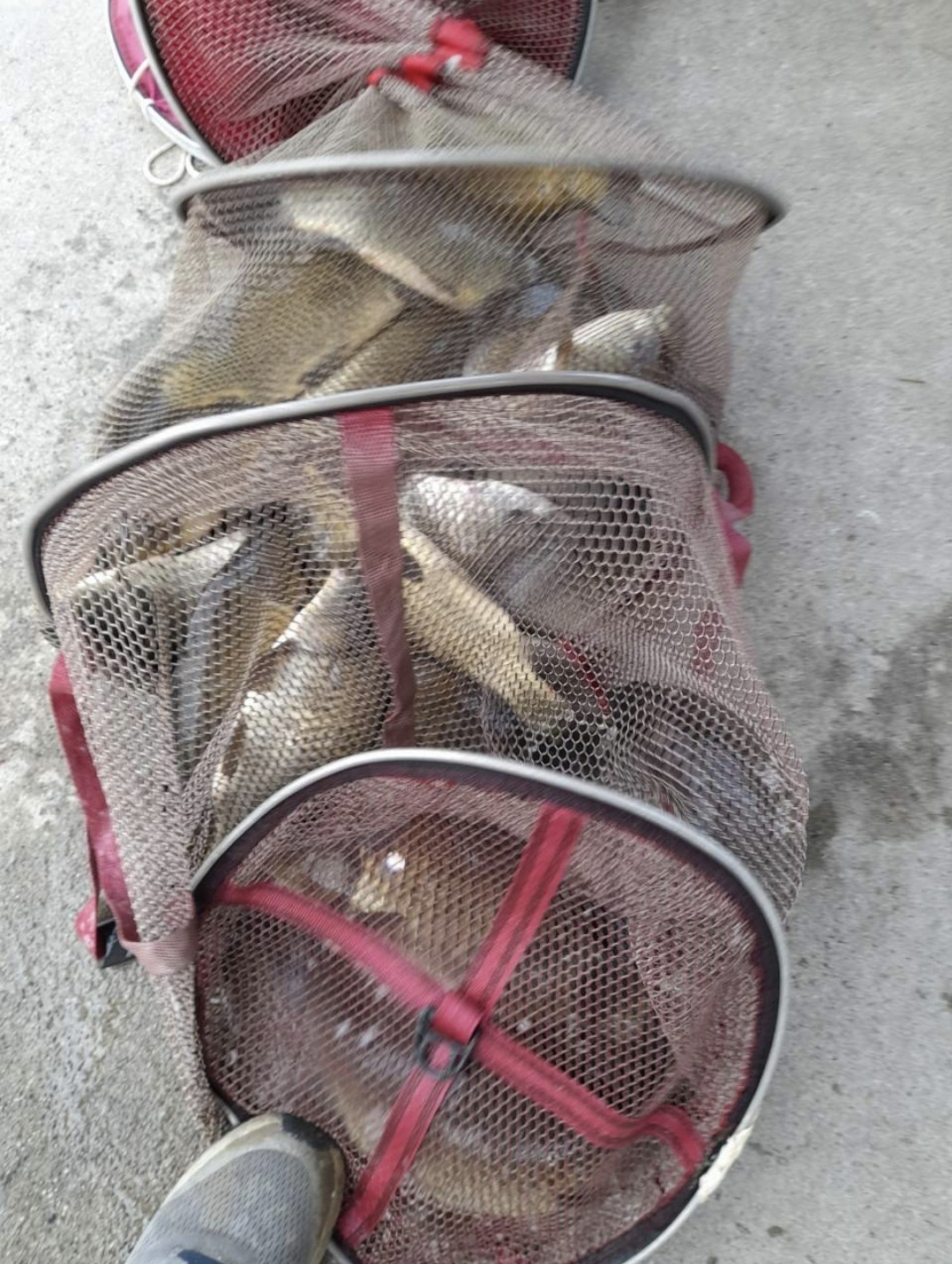 KakaoTalk_20230605_193201449.jpg