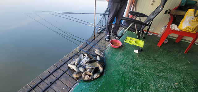 가깝고 물 좋고 경치 좋은 곳~~!!-용인삼인낚시터-