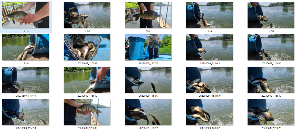 사용자 지정 1.png