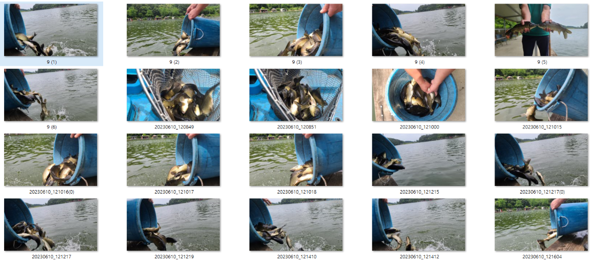 사용자 지정 1.png