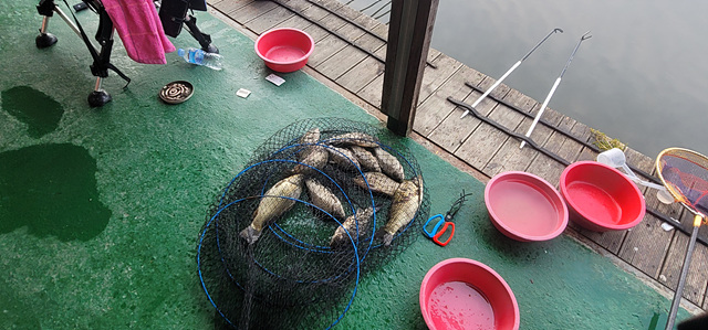 가깝고 물 좋고 경치 좋은 곳~~!!-용인삼인낚시터-