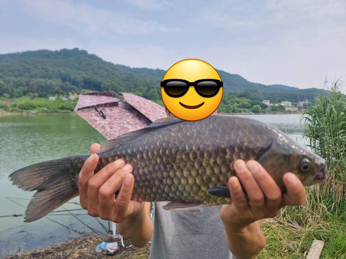 KakaoTalk_20230614_173939765.jpg