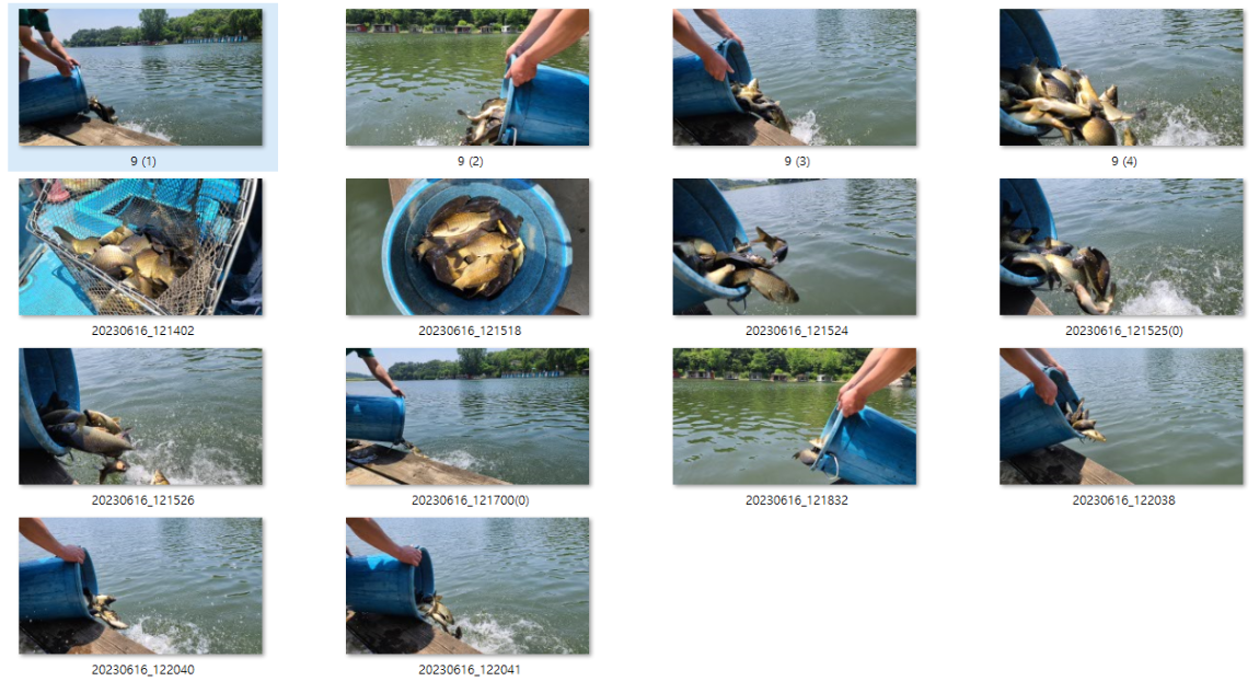 사용자 지정 2.png