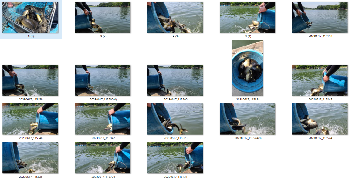 사용자 지정 1.png