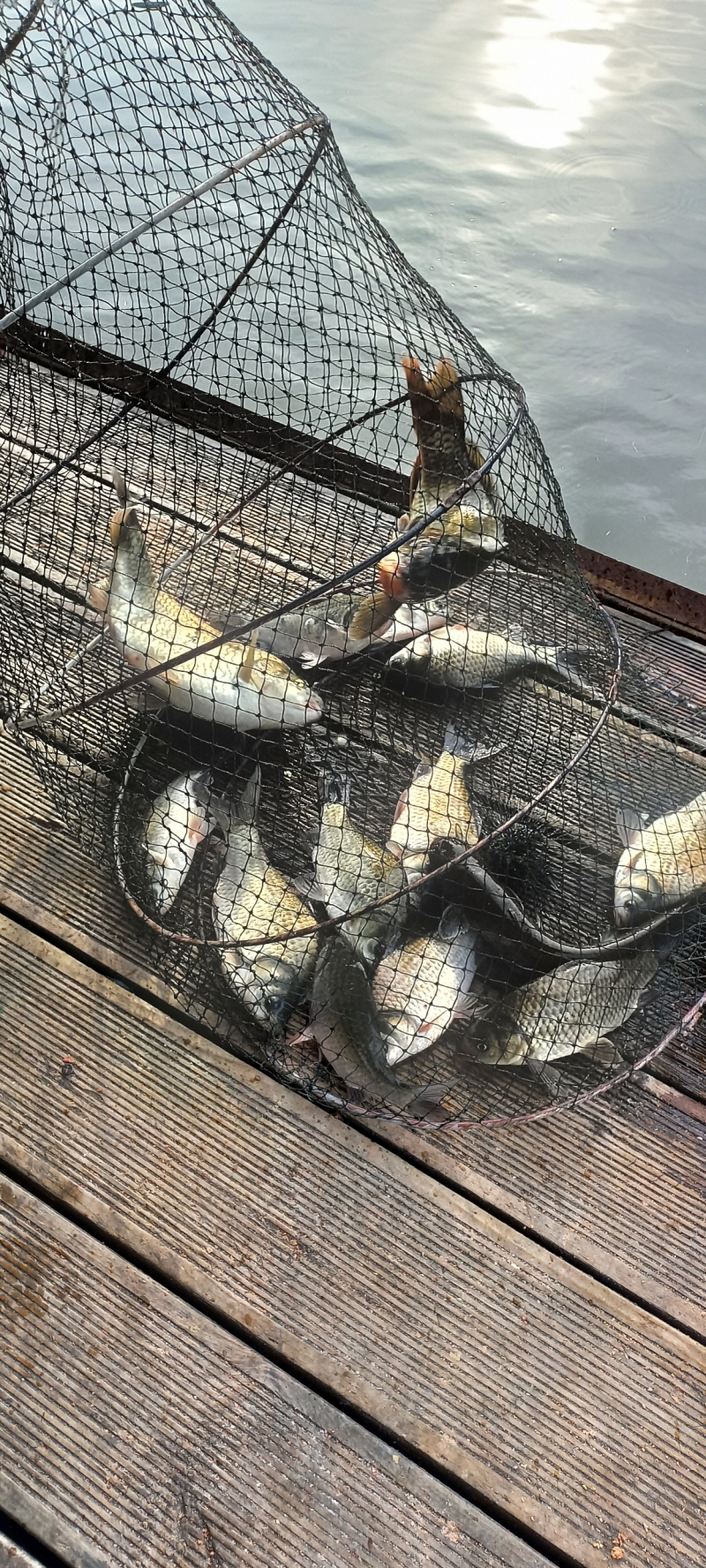 [꾸미기]04 (3).jpeg