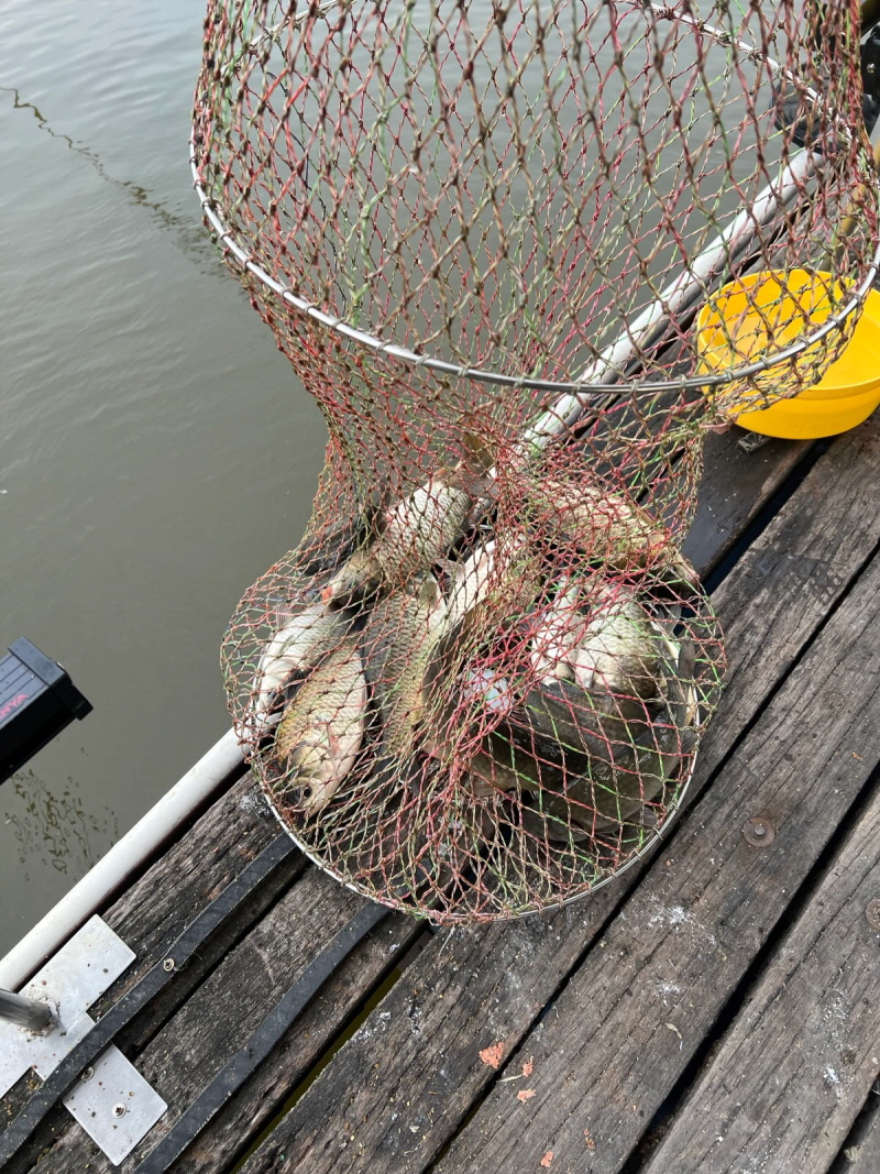 [꾸미기]04 (1).jpg