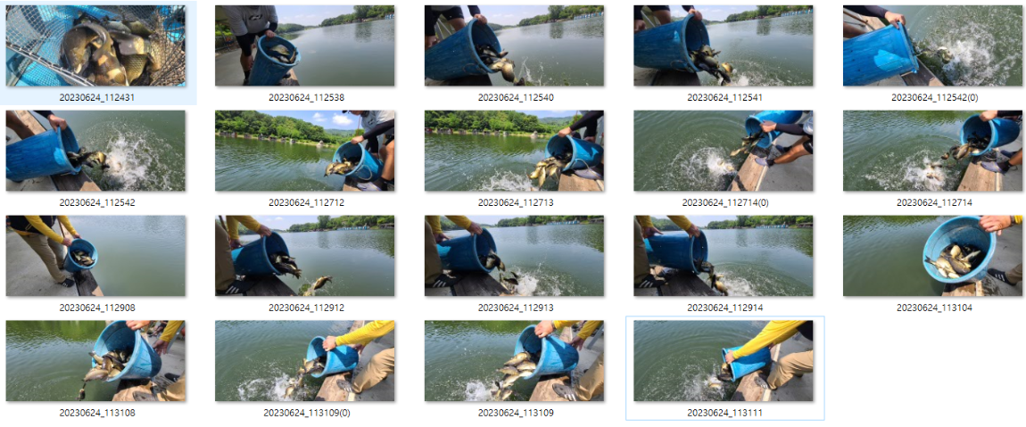 사용자 지정 2.png