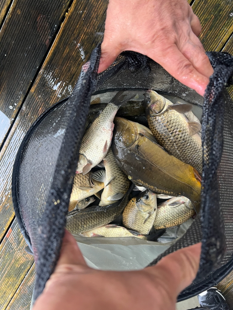 [꾸미기]2 (1).jpg