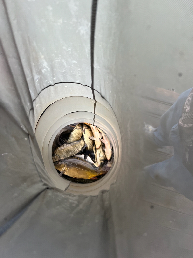 [꾸미기]2 (2).jpg