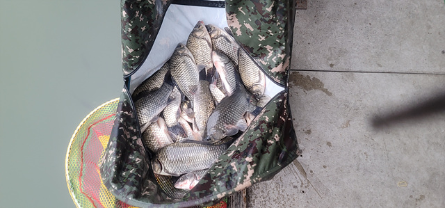 가깝고 물 좋고 경치 좋은 곳~~!!-용인삼인낚시터-