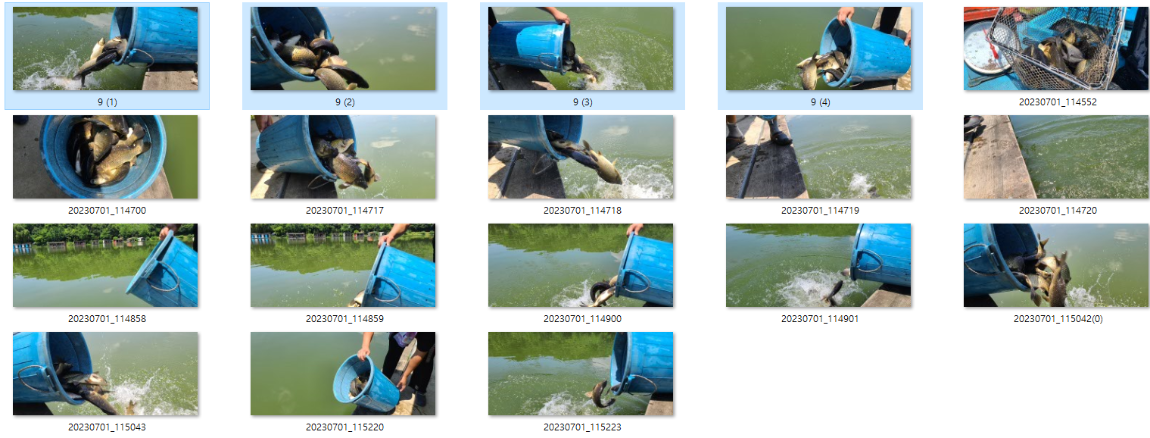 사용자 지정 2.png