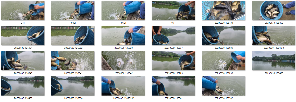 사용자 지정 1.png