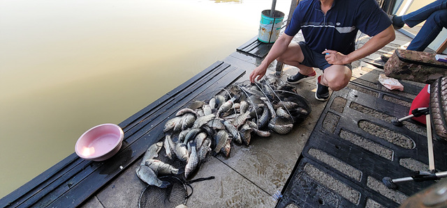 가깝고 물 좋고 경치 좋은 곳~~!!-용인삼인낚시터-