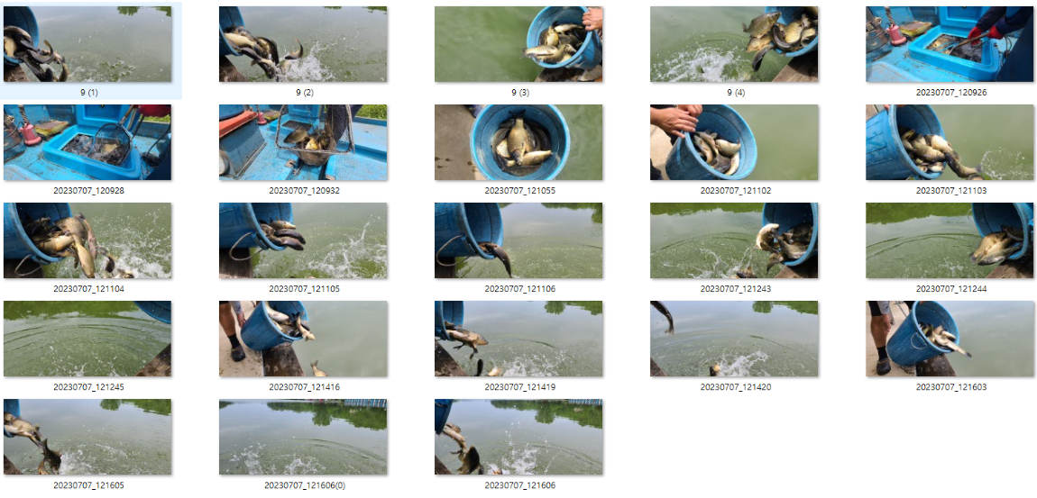 사용자 지정 1.png