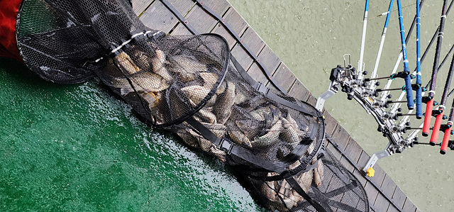 가깝고 물 좋고 경치 좋은 곳~~!!-용인삼인낚시터-