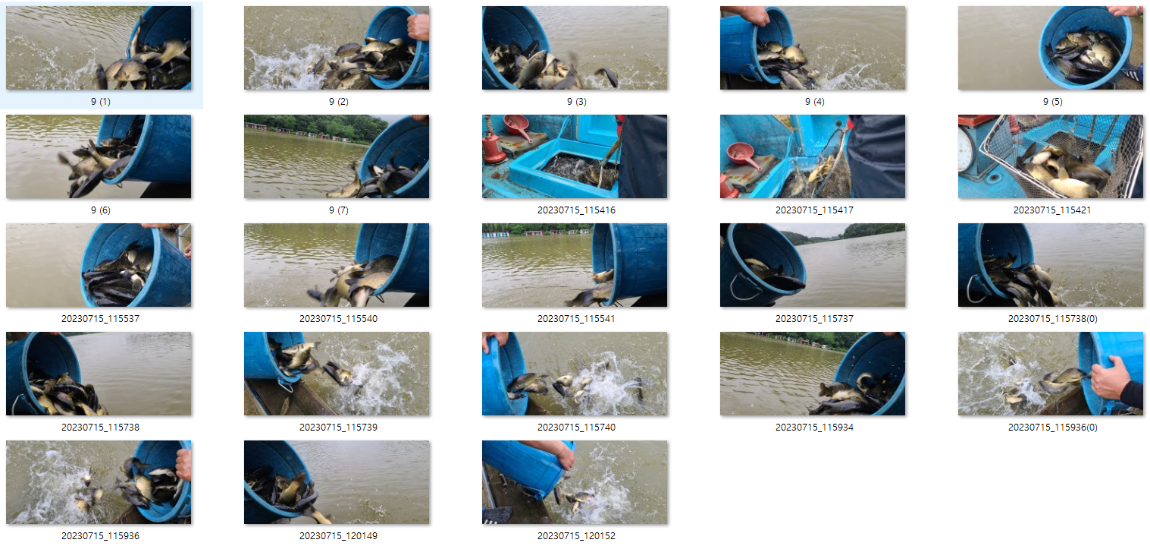 사용자 지정 1.png