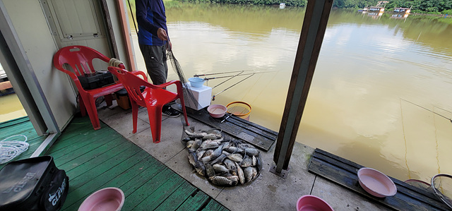 가깝고 물 좋고 경치 좋은 곳~~!!-용인삼인낚시터-
