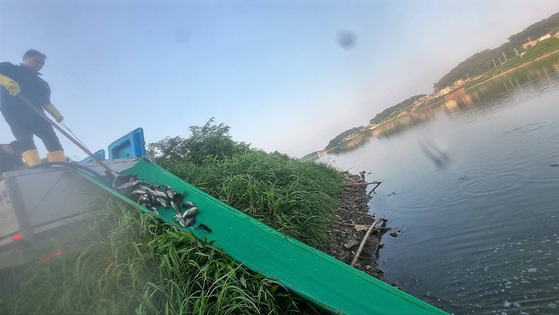 KakaoTalk_20230721_234526337_22.jpg