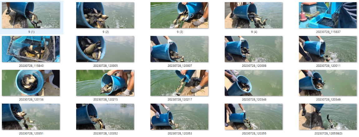 사용자 지정 1.png