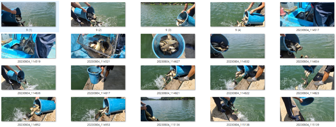 사용자 지정 1.png