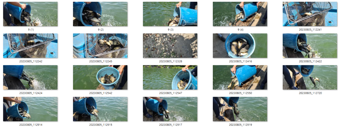 사용자 지정 2.png