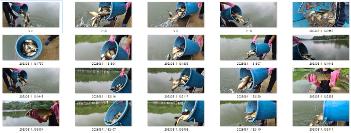 사용자 지정 1.png