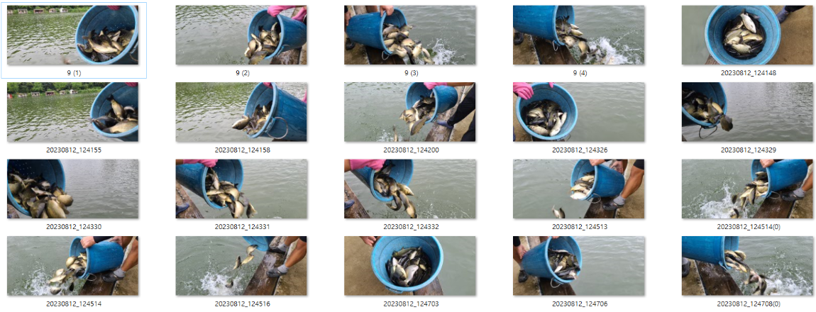 사용자 지정 2.png